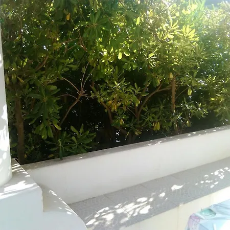 Palmin House *