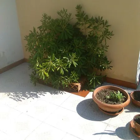 Palmin House Konukevi Lipari (Isola Lipari)