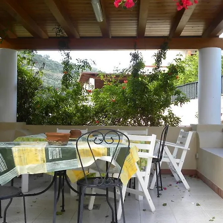 Palmin House Pensión